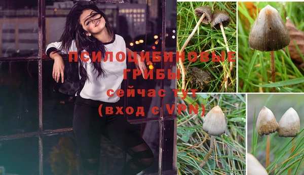 COCAINE Иннополис