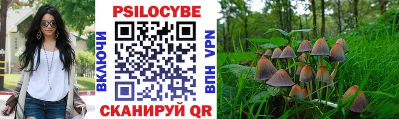 Галлюциногенные грибы MAGIC MUSHROOMS  Бронницы 